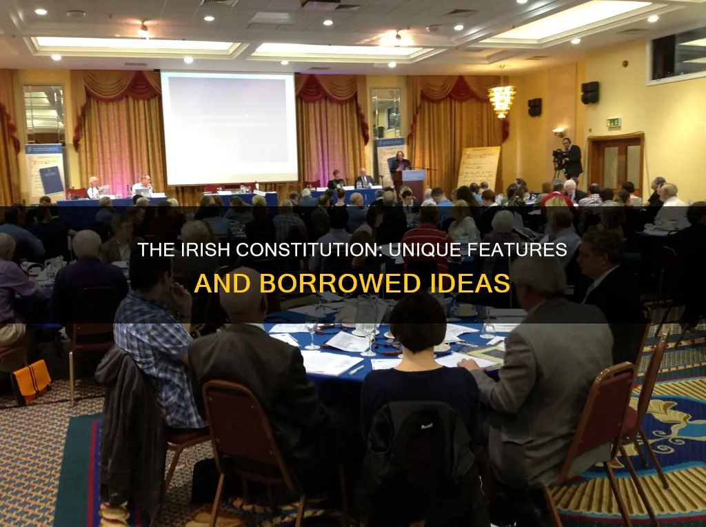 which feature has not been borrowed from irish constitution