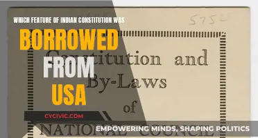 Borrowed Features: Indian Constitution and the USA