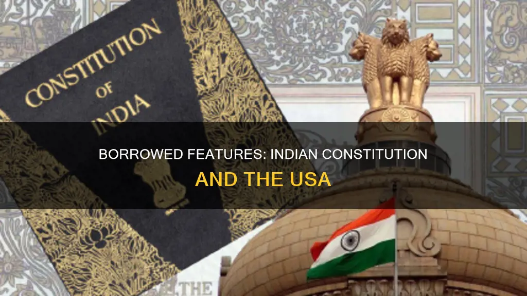 which feature of indian constitution was borrowed from usa