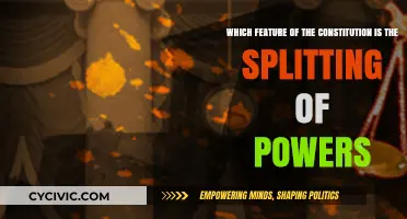 The Constitution's Power-Splitting: Democracy's Strong Foundation