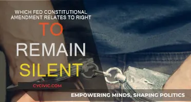 The Fifth Amendment: Protecting Your Right to Remain Silent