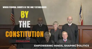 The Supreme Court: Our Founding Fathers' Vision