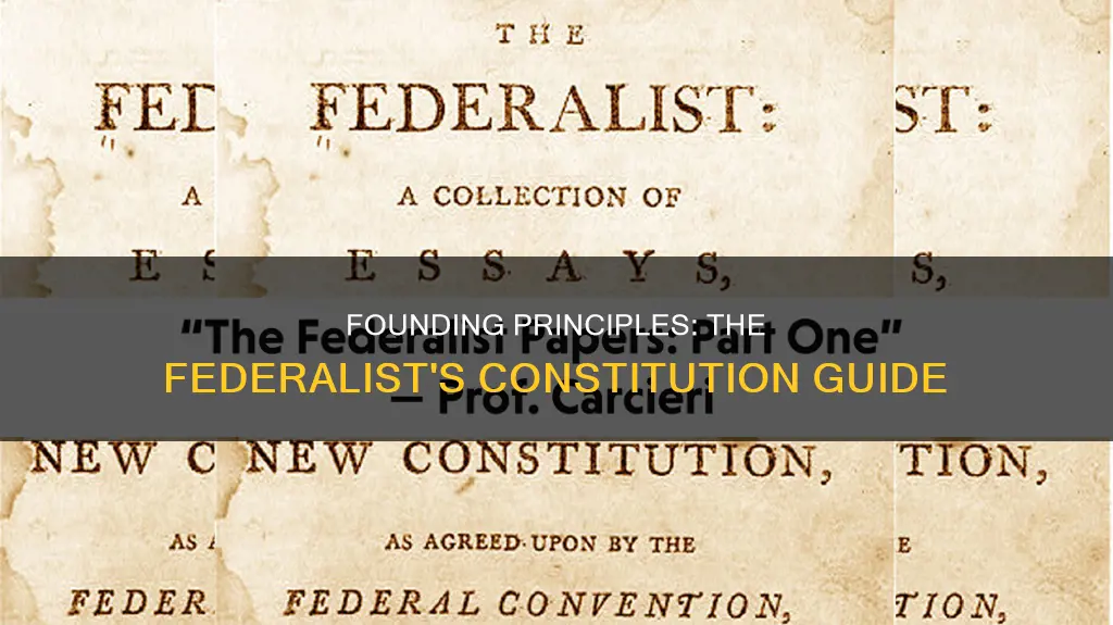 which federalist paper was the guiding principle to the constitution