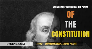 The Founding Father of the Constitution