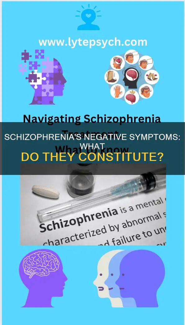 which finding constitutes a negative symptom associated with schizophrenia