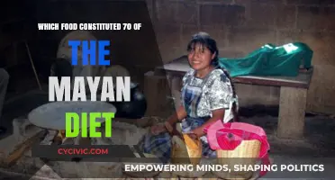 The Staple Food of the Ancient Maya