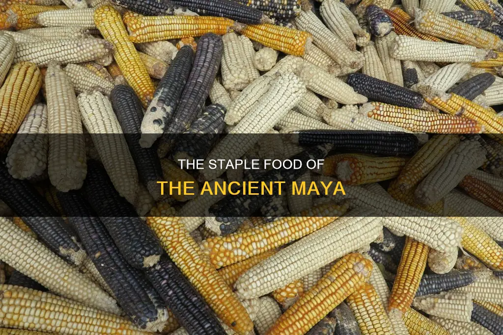 which food constituted 70 of the mayan diet