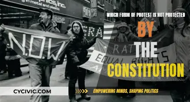 Protesting Without Protection: Uncovering Unconstitutional Demonstrations