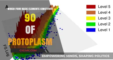 Building Blocks of Life: Four Elements in Protoplasm