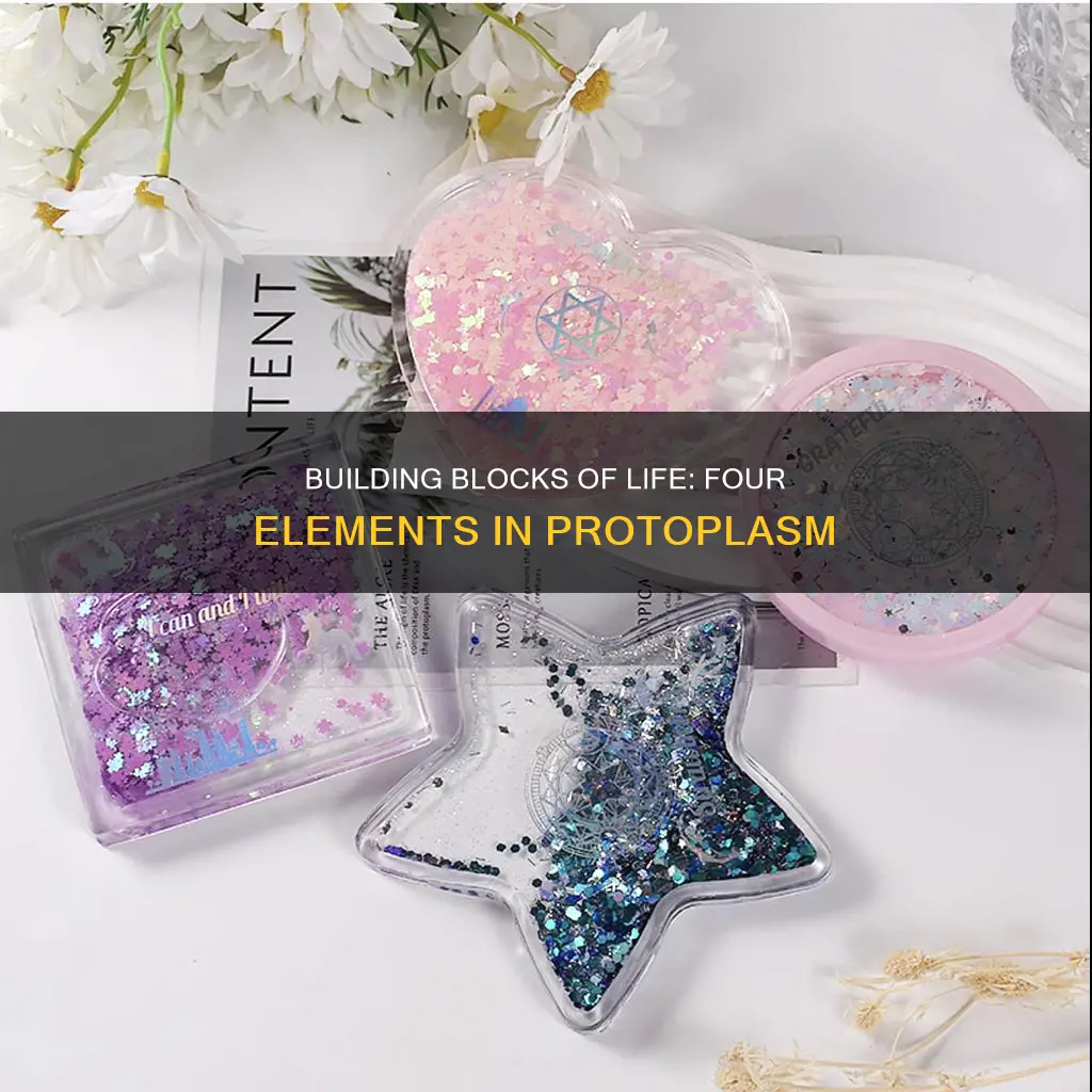 which four basic elements constitute 90 of protoplasm