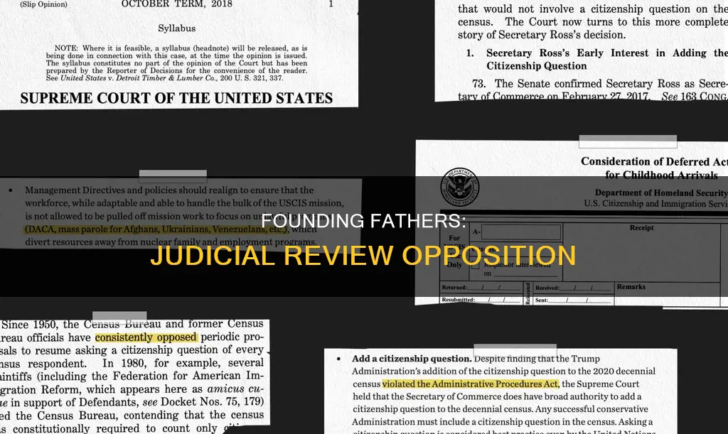 which framer of the us constitution opposed judicial review