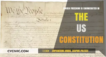The US Constitution: Enumerated Freedoms and Rights