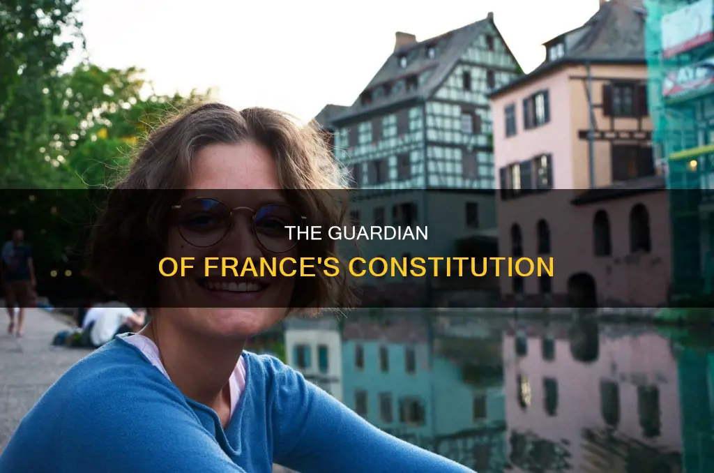 which french institution watches over the respect of the constitution