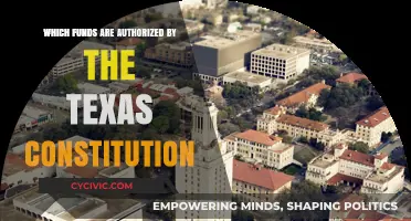 Texas Constitution: Authorized Funds Explained