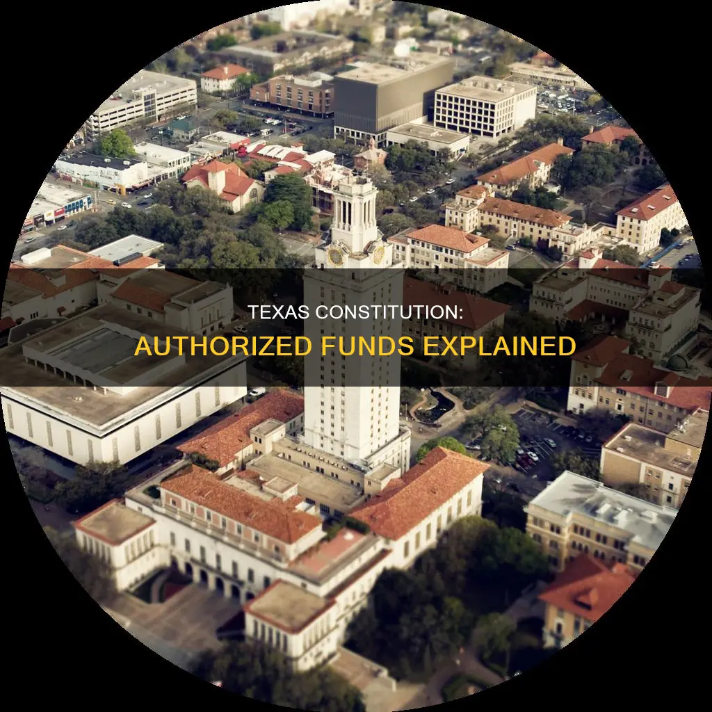 which funds are authorized by the texas constitution