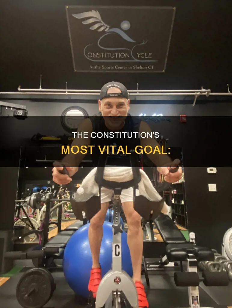 which goal of the constitution is the most important
