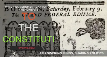 Amendments: Who Ratifies the Constitution?