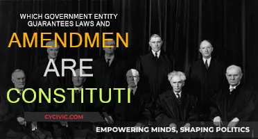 The Supreme Court: Guardians of Constitutional Law