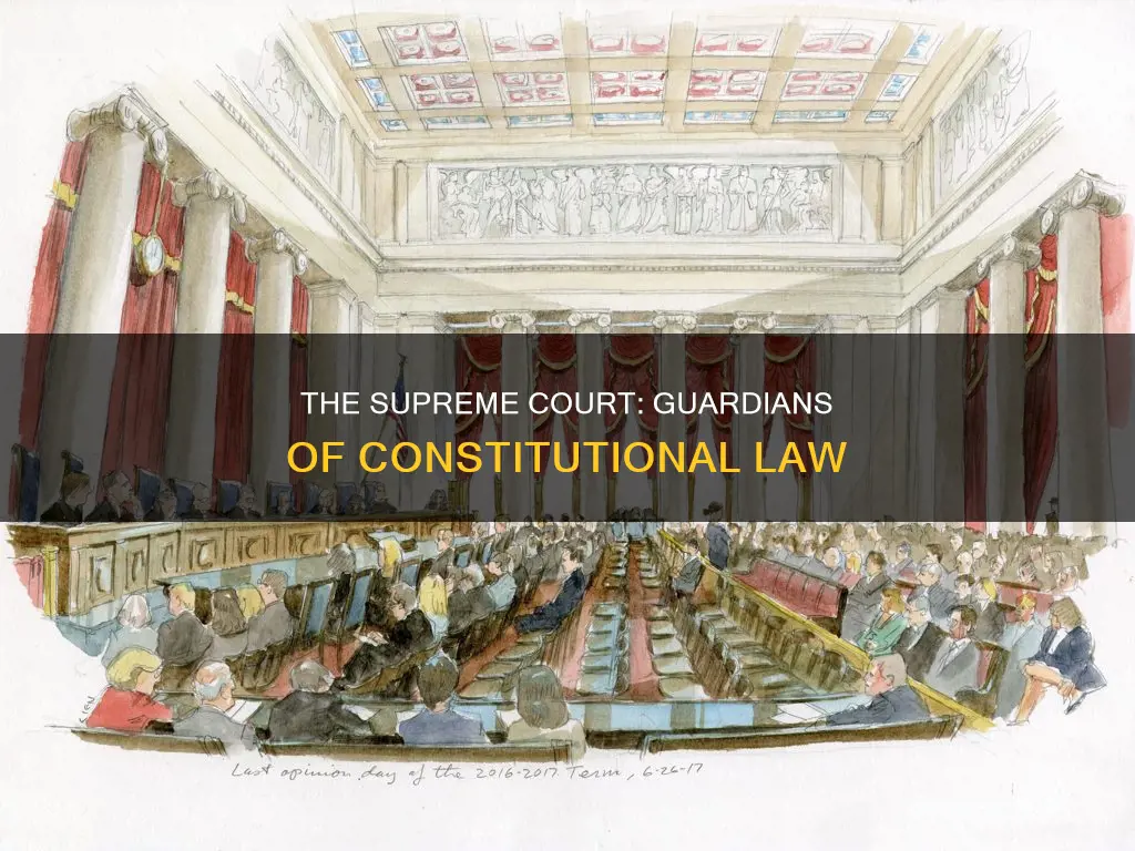 which government entity guarantees laws and amendments are constitutional