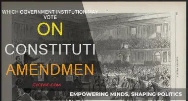 The Power to Vote on Amendments