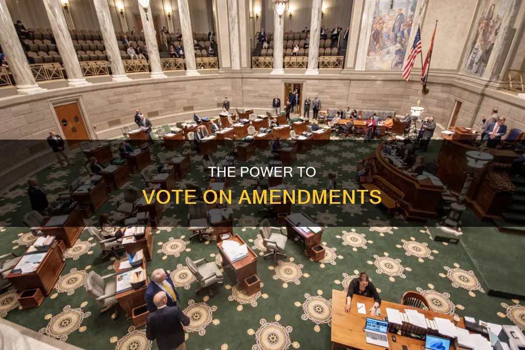 which government institution may vote on constitutional amendments