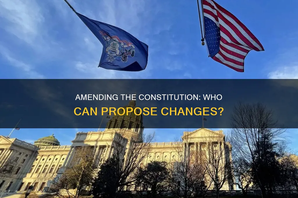 which government s can propose amendments to the constitution
