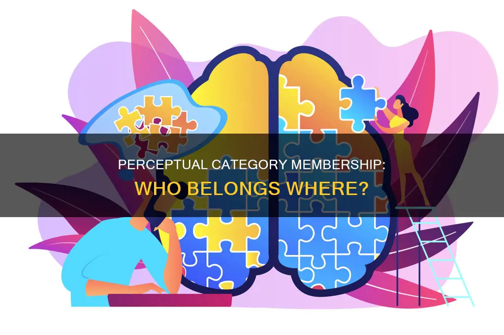 which group constitutes members of the same perceptual category