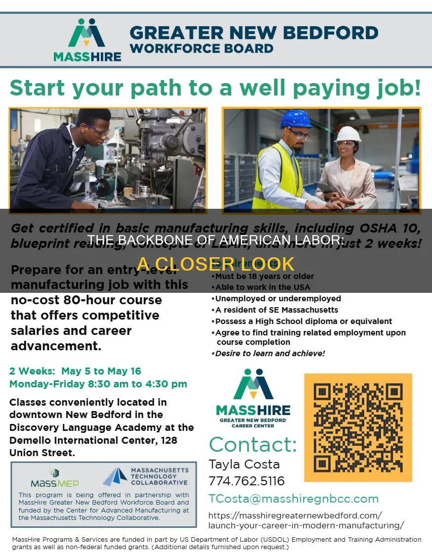 which group constitutes the backbone of the american labor