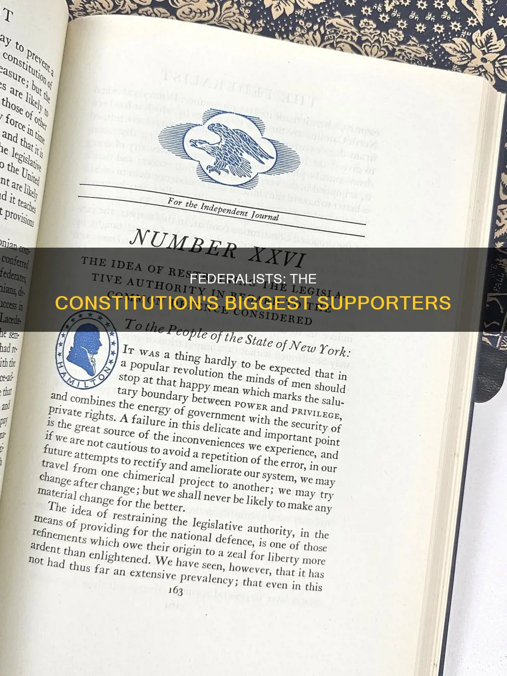 which group most favored the passage of the constitution