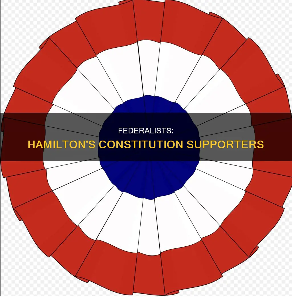 which group supported the constitution that alexander hamilton