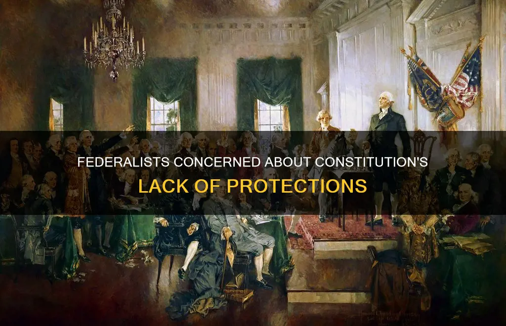 which group was concerned with the constitutions lack of protections
