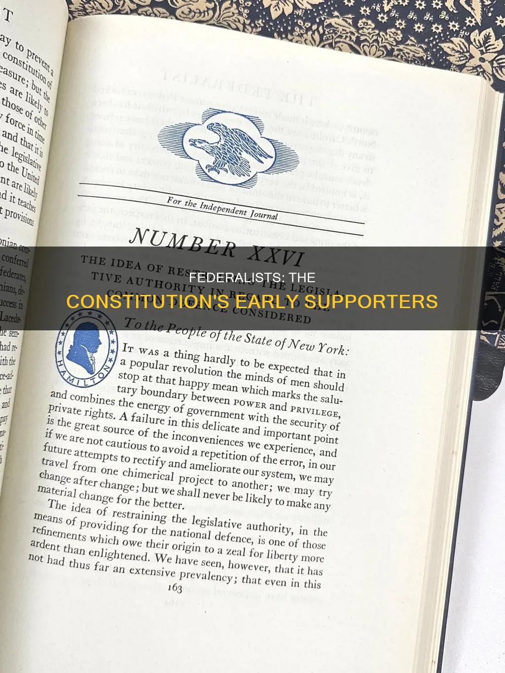 which group was in favor of the constitution