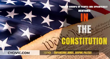 The Constitution's Mentioned Groups: Who's Included?