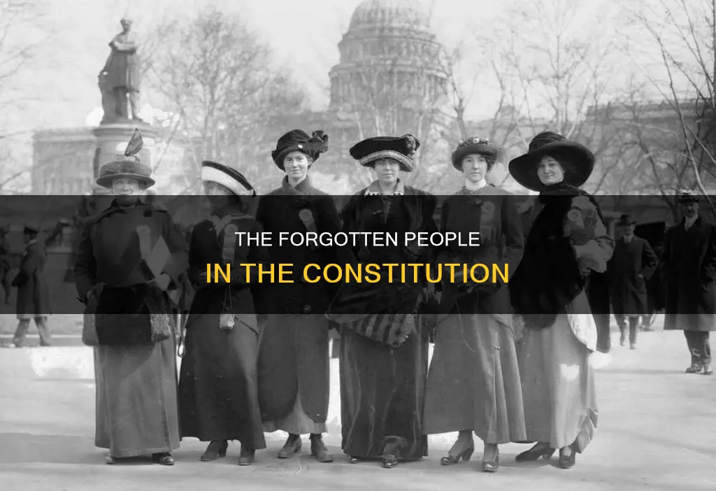 which groups of people lacked representation from the constitution