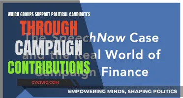 Who Backs Political Candidates: Campaign Contribution Sources