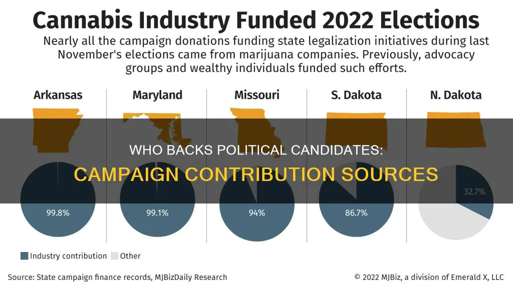 which groups support political candidates through campaign contributions