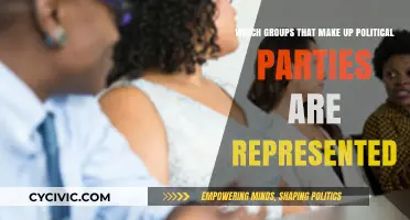 Understanding the Diverse Groups Shaping Political Party Representation