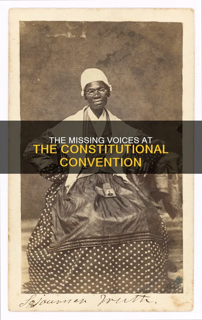 which groups were not represented at the constitutional convection