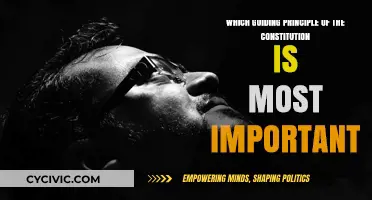 Our Constitution's Most Vital Principle: Liberty and Freedom