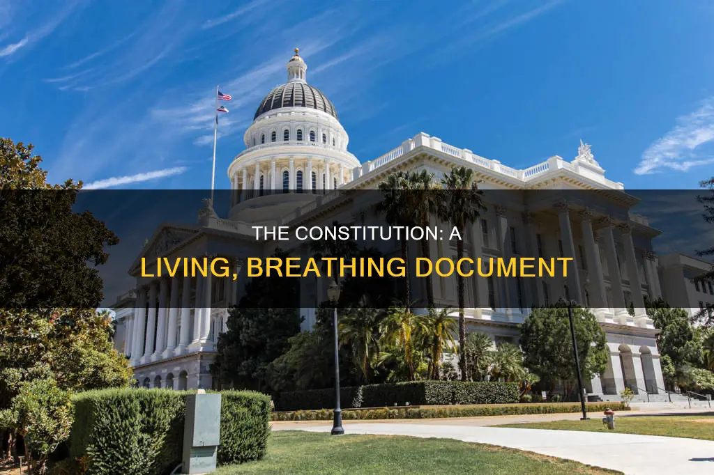 which has grown since the framers wrote the constitution