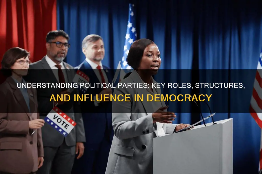 which heading best completes the partial outline below political parties