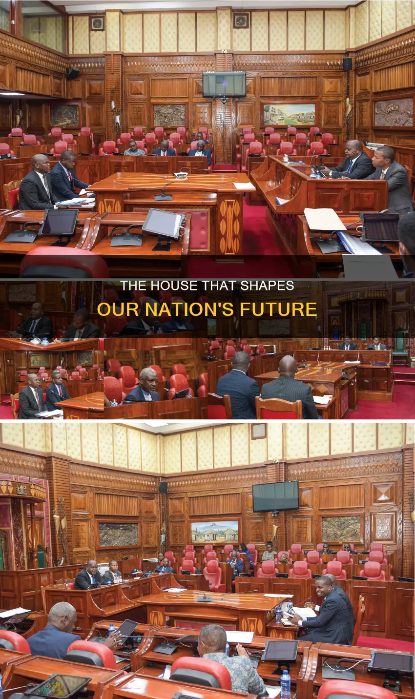 which house can amend the constitution