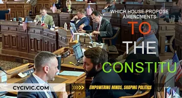 Amendments: The House's Role and Responsibility