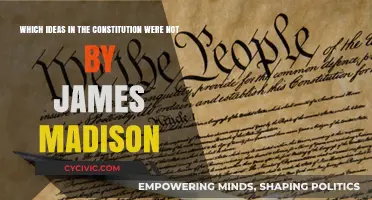 James Madison's Missing Ideas in the Constitution