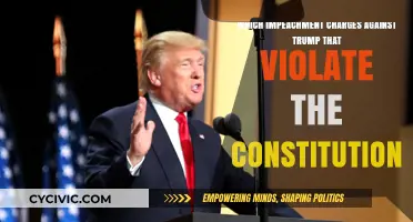 Trump's Impeachment: Unconstitutional Charges