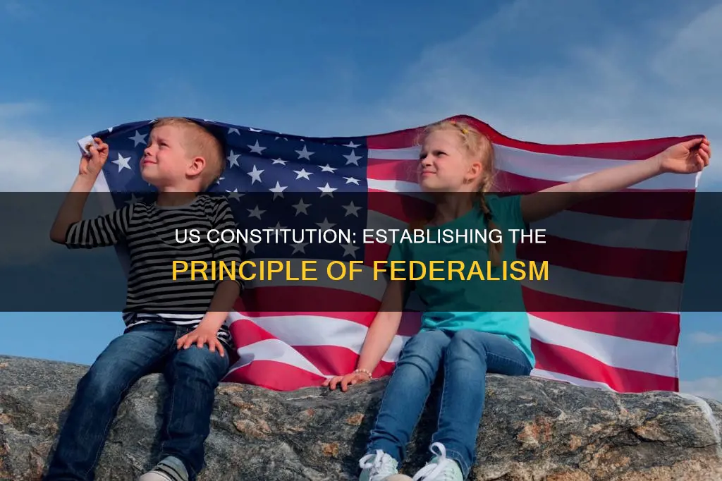 which important principle did the us constitution establish