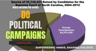 Political Campaigns: Information Sources and Strategies