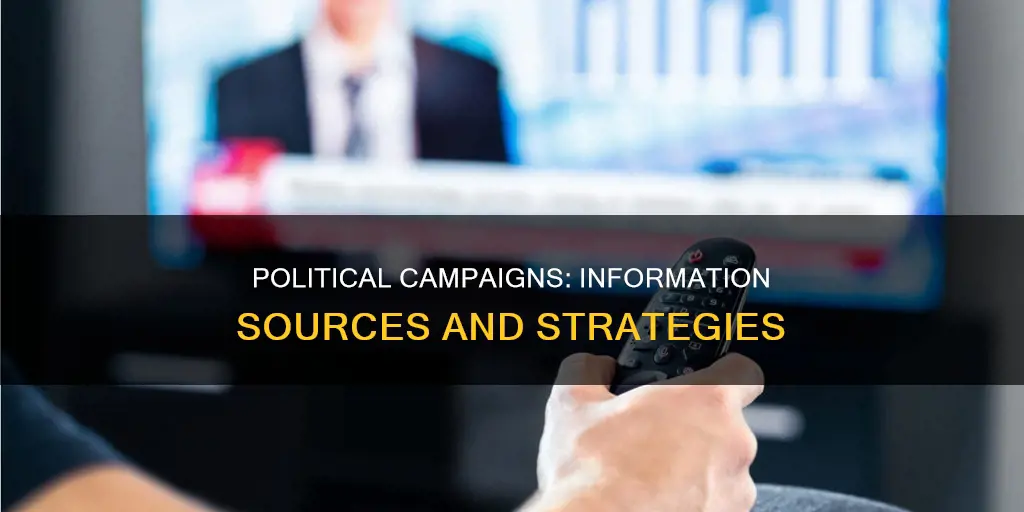 which information source do political campaigns