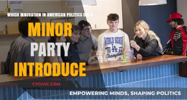 Minor Parties' Major Impact: Innovations Shaping American Political Landscape