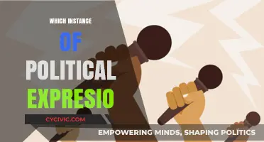 Exploring the Impact of Political Expression in Modern Society